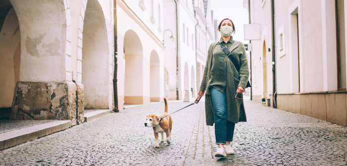 Trotz Ausgangssperre mit Hund Gassi gehen? ( Foto: Shutterstock - Soloviova Liudmyla )