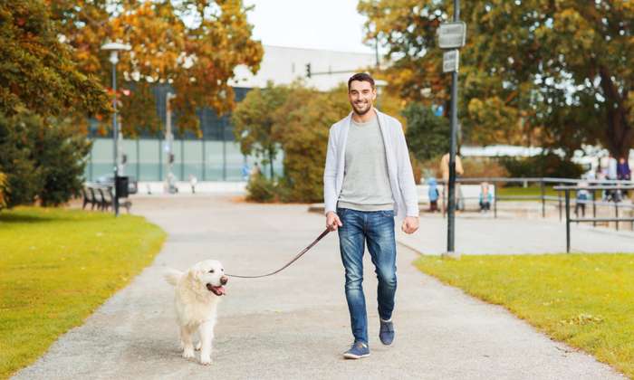 Immer wieder kommt in Dortmund die Diskussion auf, ob es nicht eine Steuerermäßigung für Hunde geben könnte, die aus dem Tierheim aufgenommen werden. ( Foto: Shutterstock -   Syda Productions )
