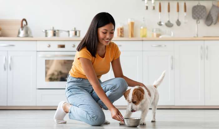 Hunde sind echte Familienmitglieder, die zu verschiedenen Lebensformen passen.  ( Foto: Shutterstock -  Monkey Business Images )