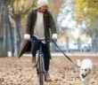 Wie viele Kilometer kann ein Hund am Fahrrad laufen? (Foto: AdobeStock - nenetus)