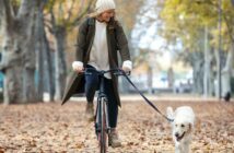 Wie viele Kilometer kann ein Hund am Fahrrad laufen? (Foto: AdobeStock - nenetus)