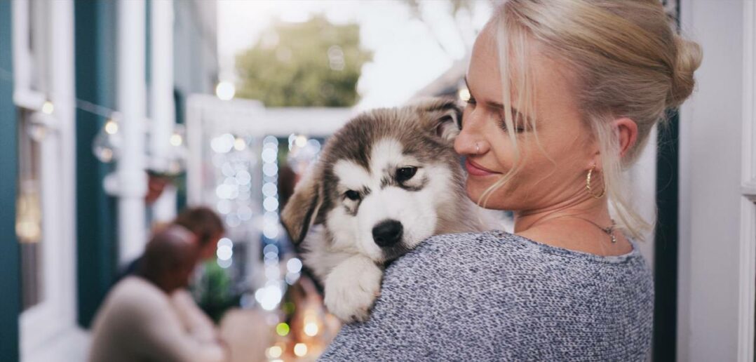 Alles für den Hund: Erstausstattung für das neue Familienmitglied ( Foto: Adobe Stock- Kobus Lpeopleimages.com_)