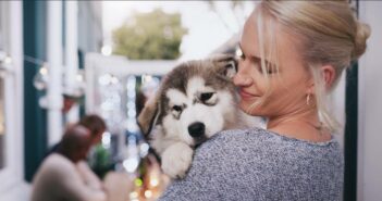 Alles für den Hund: Erstausstattung für das neue Familienmitglied ( Foto: Adobe Stock- Kobus Lpeopleimages.com_)