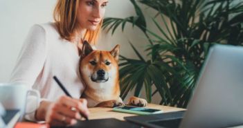 Positive Auswirkungen von Hunden am Arbeitsplatz für Mitarbeiter und (Foto: AdobeStock - iana_kolesnikova 334847866)