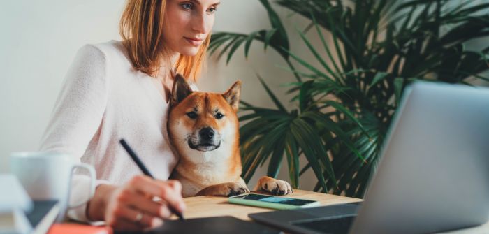 Positive Auswirkungen von Hunden am Arbeitsplatz für Mitarbeiter und (Foto: AdobeStock - iana_kolesnikova 334847866)