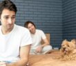 Melatonin für Hunde: So befreien Sie Ihren Hund von Unruhe ( Foto: Adobe Stock- Vitaliy )