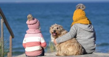 Tierliebe Ferien: Entdecken Sie haustierfreundliche Reiseziele für (Foto: AdobeStock - Jenny Sturm 469665129)