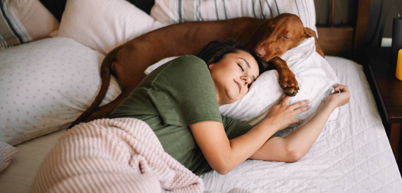 Einfluss von Haustieren auf die Schlafqualität (Foto: AdobeStock 321453527 JustLife)