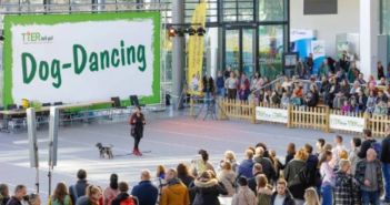 Rassehunde-Ausstellung in Karlsruhe: 5.000 Hunde aus 250 (Foto: Karlsruher Messe- und Kongress-GmbH (KMK))