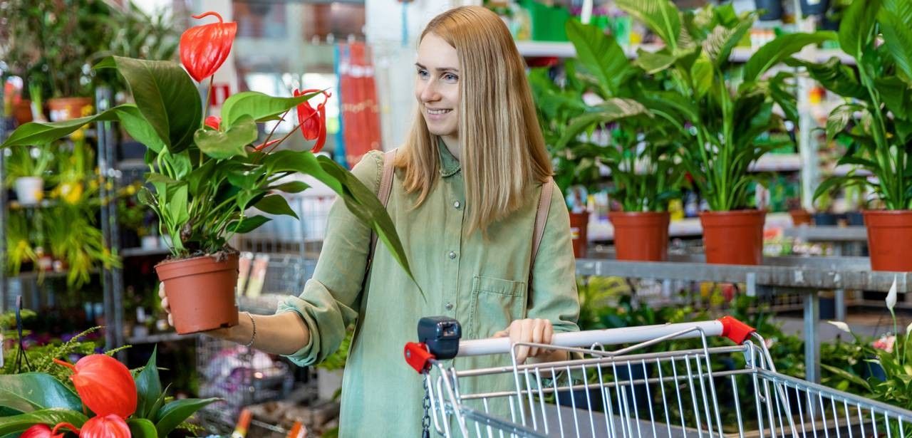 Umsatzrückgang in Bau- und Gartenfachmärkten belastet (Foto: AdobeStock 329169225 ronstik)