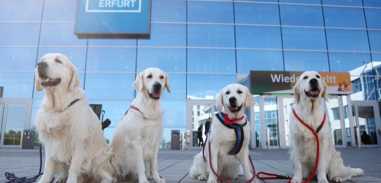 Erfolgreiche Internationale Rassehunde- und Rassekatzen-Ausstellung in (Foto: Messe Erfurt GmbH)