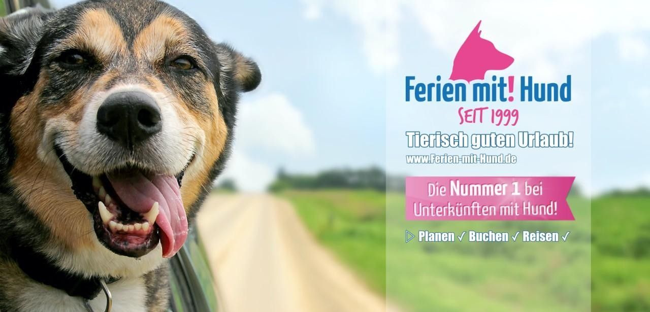 Über 150.000 hundefreundliche Ferienhäuser und Ferienwohnungen - jetzt (Foto: Ferien mit Hund)