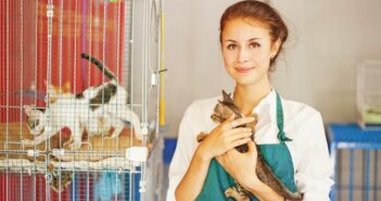 Tierheim Lüneburg: Ein Ort der Liebe und Achtsamkeit für Tiere in Not (Foto: AdobeStock - 61209379 Mila Supinskaya)