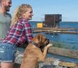 Hundefreundliches Lausitzer Seenland bietet Strand, Kultur und familiengerechten (Foto: Tourismusverband Lausitzer Seenland, Nada Quenzel)